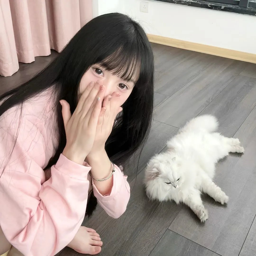 棺姬嘉依卡第二季